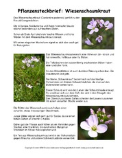 Steckbrief-Wiesenschaumkraut-2.pdf